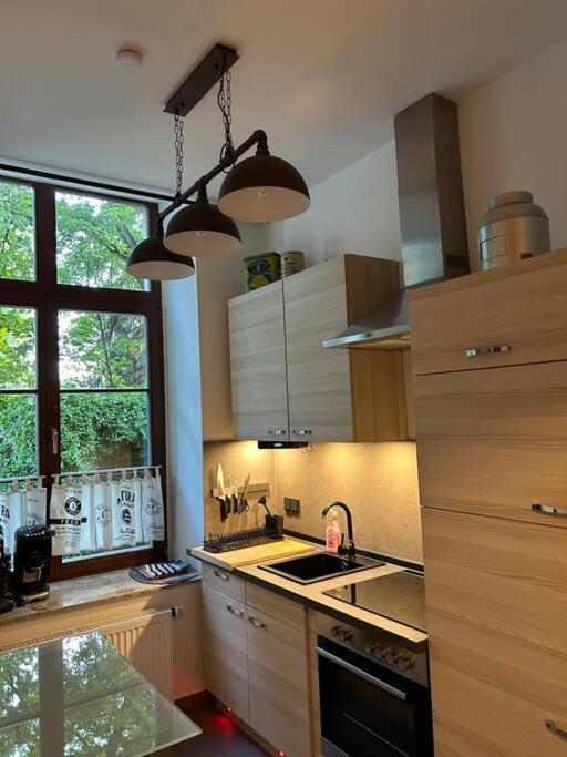 Ruhige Wohnung Im Fabrikstil In Chemnitz Extérieur photo