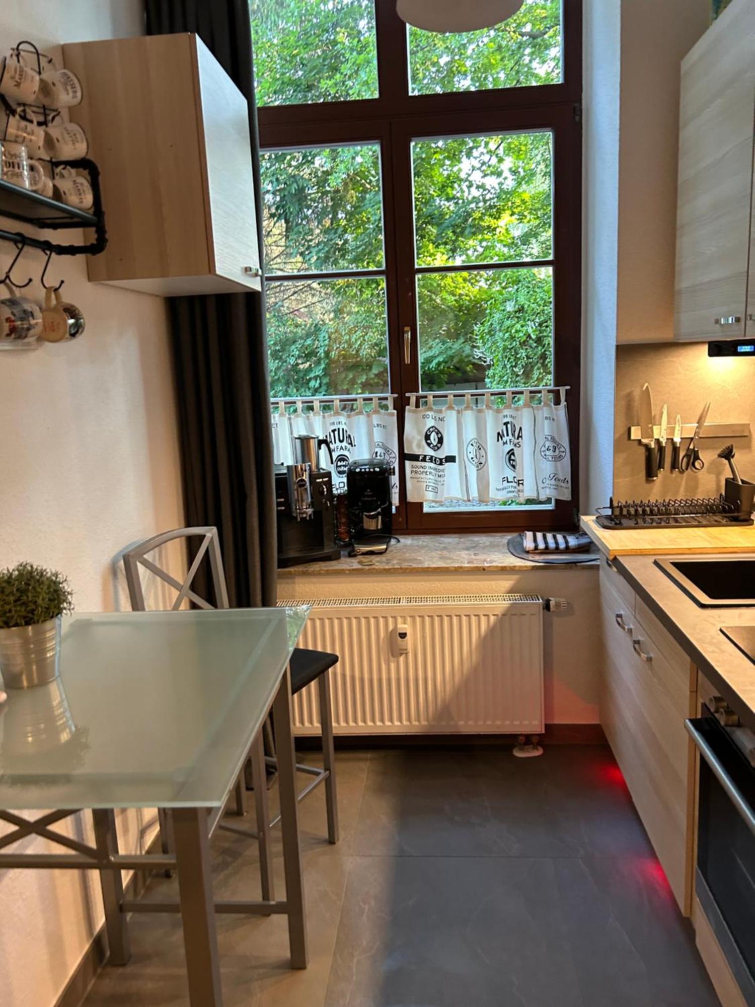 Ruhige Wohnung Im Fabrikstil In Chemnitz Extérieur photo